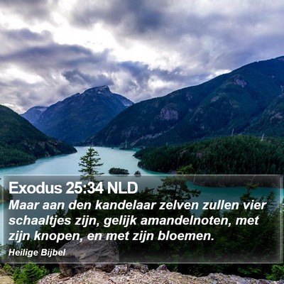 Exodus 25:34 NLD Bible Verse Image