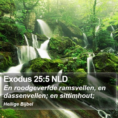 Exodus 25:5 NLD Bible Verse Image