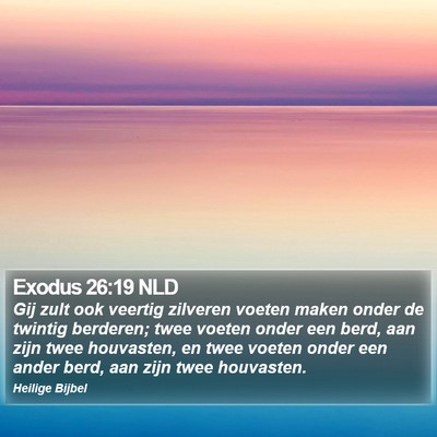 Exodus 26:19 NLD Bible Verse Image