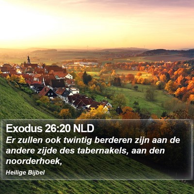 Exodus 26:20 NLD Bible Verse Image