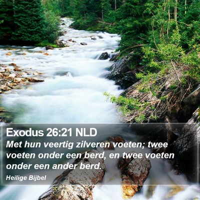 Exodus 26:21 NLD Bible Verse Image