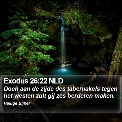 Exodus 26:22 NLD Bible Verse Image