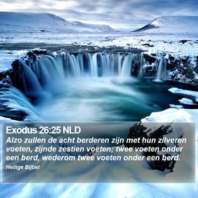 Exodus 26:25 NLD Bible Verse Image