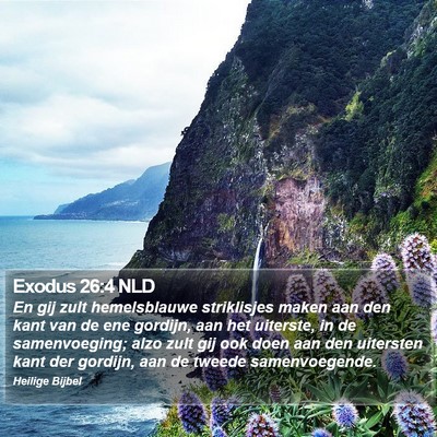 Exodus 26:4 NLD Bible Verse Image