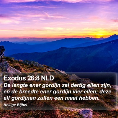 Exodus 26:8 NLD Bible Verse Image