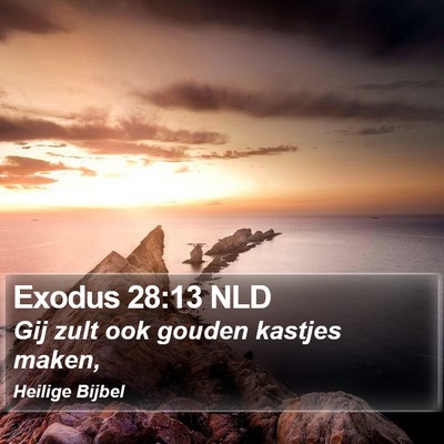 Exodus 28:13 NLD Bible Verse Image