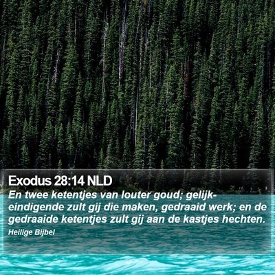 Exodus 28:14 NLD Bible Verse Image