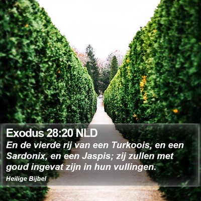 Exodus 28:20 NLD Bible Verse Image