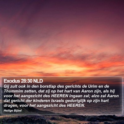 Exodus 28:30 NLD Bible Verse Image