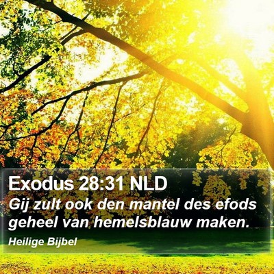 Exodus 28:31 NLD Bible Verse Image