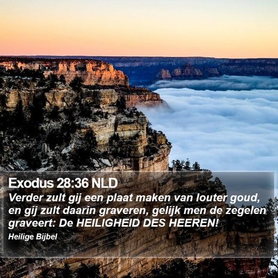 Exodus 28:36 NLD Bible Verse Image
