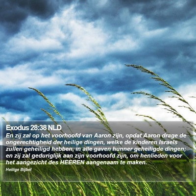 Exodus 28:38 NLD Bible Verse Image