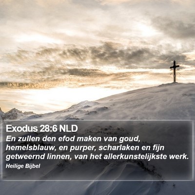 Exodus 28:6 NLD Bible Verse Image