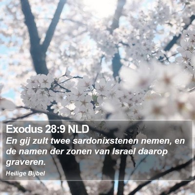 Exodus 28:9 NLD Bible Verse Image