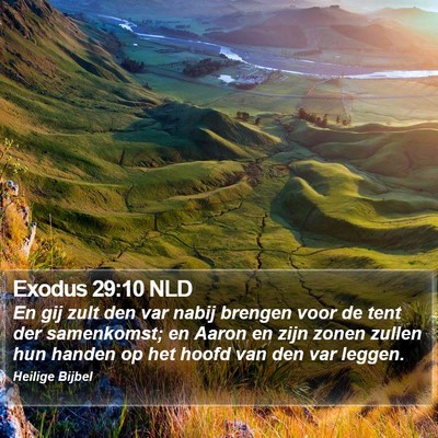 Exodus 29:10 NLD Bible Verse Image