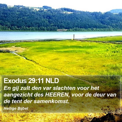 Exodus 29:11 NLD Bible Verse Image