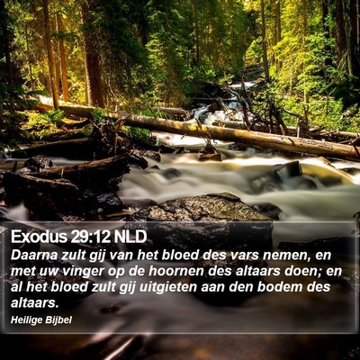 Exodus 29:12 NLD Bible Verse Image