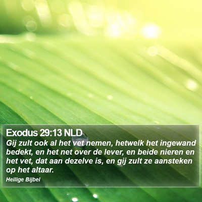 Exodus 29:13 NLD Bible Verse Image