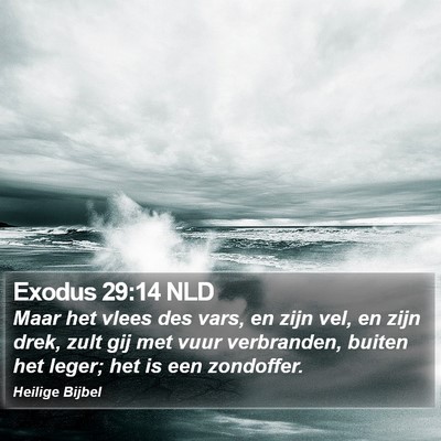 Exodus 29:14 NLD Bible Verse Image