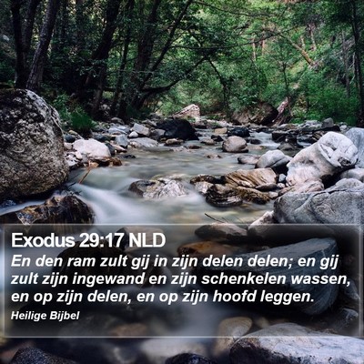 Exodus 29:17 NLD Bible Verse Image