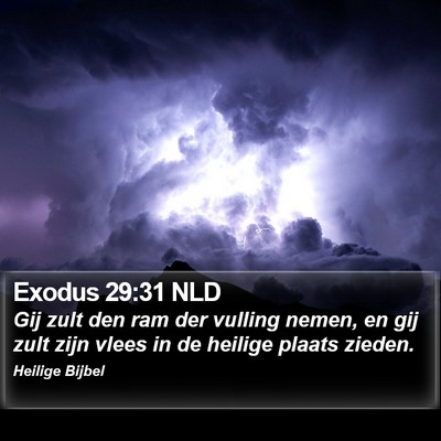 Exodus 29:31 NLD Bible Verse Image
