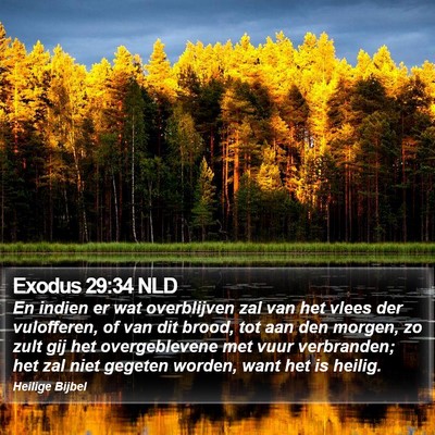 Exodus 29:34 NLD Bible Verse Image