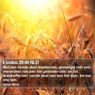 Exodus 29:40 NLD Bible Verse Image