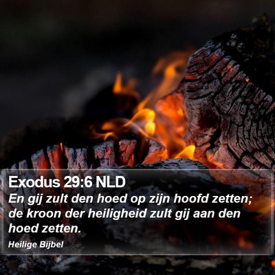 Exodus 29:6 NLD Bible Verse Image