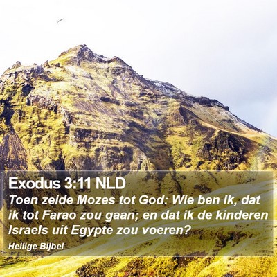 Exodus 3:11 NLD Bible Verse Image