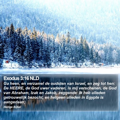 Exodus 3:16 NLD Bible Verse Image