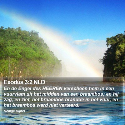 Exodus 3:2 NLD Bible Verse Image