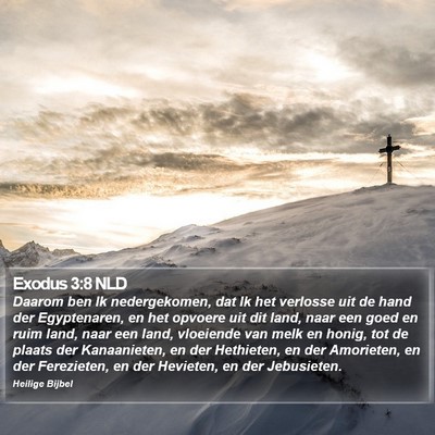 Exodus 3:8 NLD Bible Verse Image