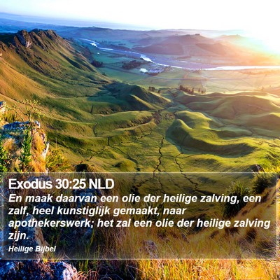 Exodus 30:25 NLD Bible Verse Image