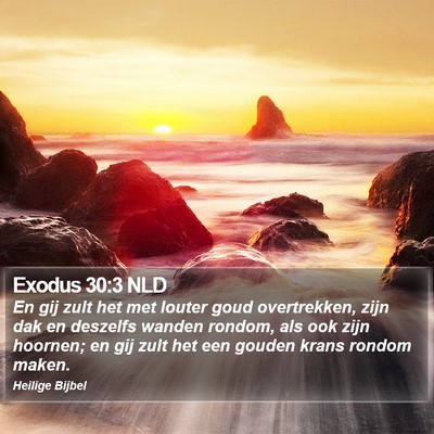 Exodus 30:3 NLD Bible Verse Image