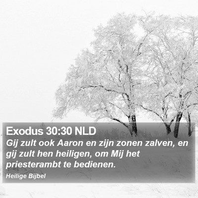 Exodus 30:30 NLD Bible Verse Image