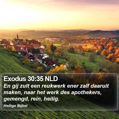 Exodus 30:35 NLD Bible Verse Image
