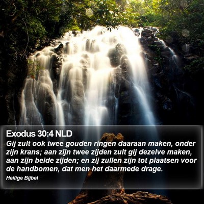 Exodus 30:4 NLD Bible Verse Image