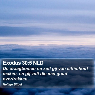 Exodus 30:5 NLD Bible Verse Image