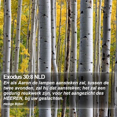 Exodus 30:8 NLD Bible Verse Image
