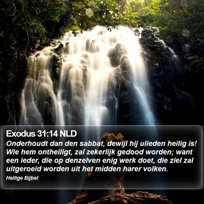 Exodus 31:14 NLD Bible Verse Image