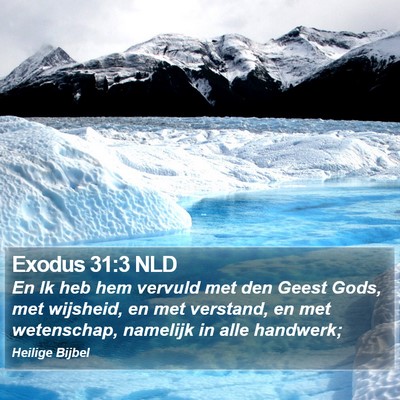 Exodus 31:3 NLD Bible Verse Image