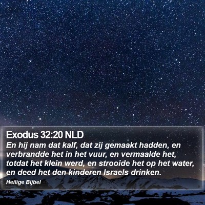 Exodus 32:20 NLD Bible Verse Image