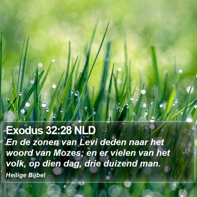 Exodus 32:28 NLD Bible Verse Image