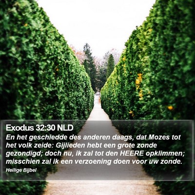 Exodus 32:30 NLD Bible Verse Image