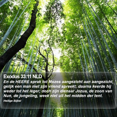 Exodus 33:11 NLD Bible Verse Image
