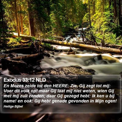Exodus 33:12 NLD Bible Verse Image