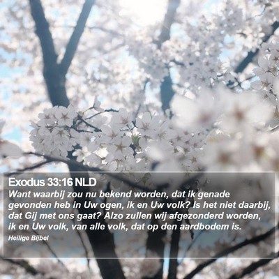 Exodus 33:16 NLD Bible Verse Image