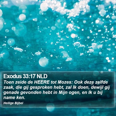 Exodus 33:17 NLD Bible Verse Image