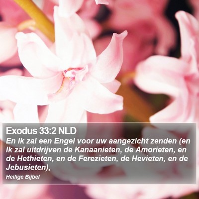Exodus 33:2 NLD Bible Verse Image