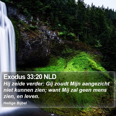 Exodus 33:20 NLD Bible Verse Image